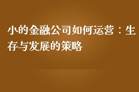 小的金融公司如何运营：生存与发展的策略_https://www.fcdydaikuan.com_恒生指数直播室_第1张
