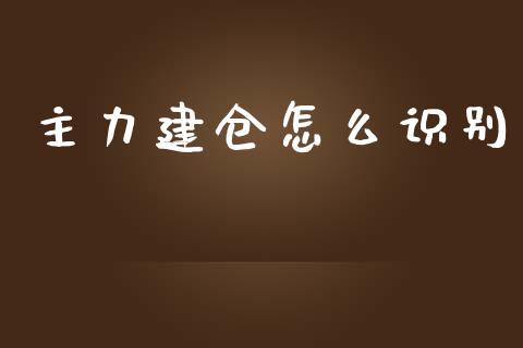 主力建仓怎么识别_https://www.fcdydaikuan.com_恒指期货直播_第1张