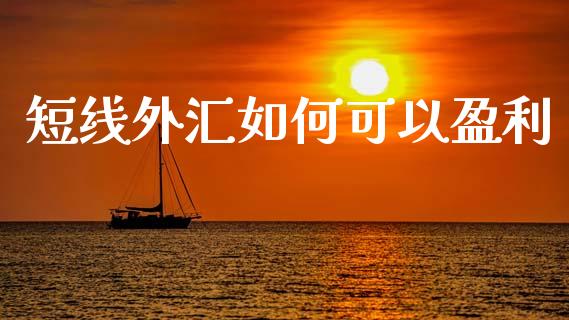 短线外汇如何可以盈利_https://www.fcdydaikuan.com_黄金期货直播_第1张