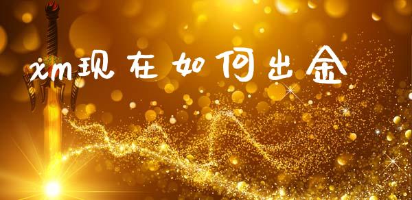 xm现在如何出金_https://www.fcdydaikuan.com_黄金期货直播_第1张