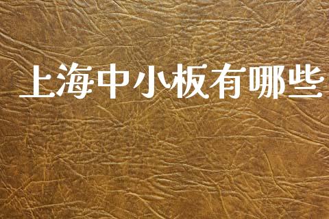 上海中小板有哪些_https://www.fcdydaikuan.com_黄金期货直播_第1张