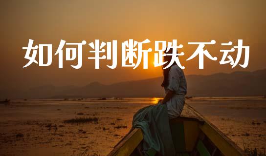 如何判断跌不动_https://www.fcdydaikuan.com_黄金期货直播_第1张