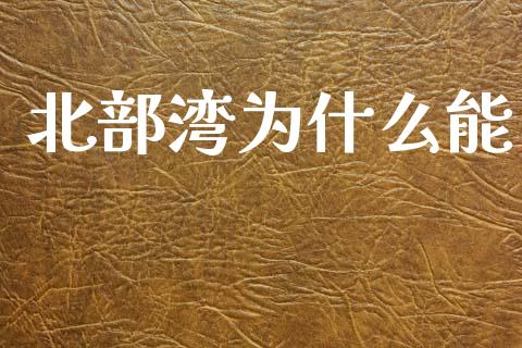 北部湾为什么能_https://www.fcdydaikuan.com_德指期货直播_第1张