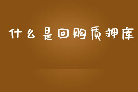 什么是回购质押库_https://www.fcdydaikuan.com_黄金期货直播_第1张