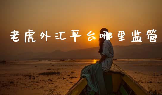老虎外汇平台哪里监管_https://www.fcdydaikuan.com_德指期货直播_第1张
