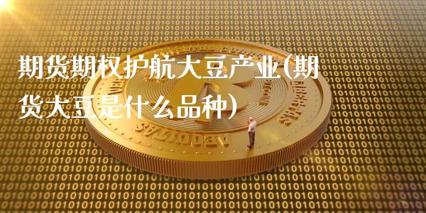 期货期权护航大豆产业(期货大豆是什么品种)_https://www.fcdydaikuan.com_恒指期货直播_第1张