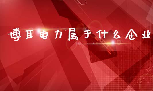 博耳电力属于什么企业_https://www.fcdydaikuan.com_恒指期货直播_第1张