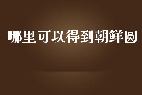 哪里可以得到朝鲜圆_https://www.fcdydaikuan.com_恒指期货直播_第1张