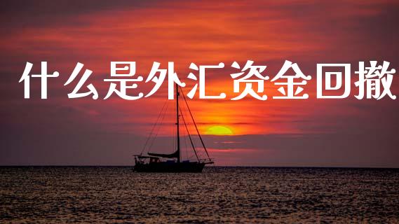 什么是外汇资金回撤_https://www.fcdydaikuan.com_德指期货直播_第1张