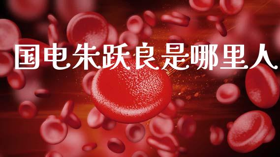 国电朱跃良是哪里人_https://www.fcdydaikuan.com_德指期货直播_第1张