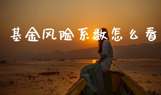 基金风险系数怎么看_https://www.fcdydaikuan.com_黄金期货直播_第1张