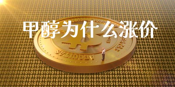 甲醇为什么涨价_https://www.fcdydaikuan.com_恒指期货直播_第1张