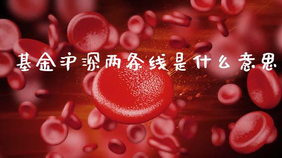 基金沪深两条线是什么意思_https://www.fcdydaikuan.com_黄金期货直播_第1张