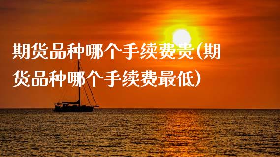 期货品种哪个手续费贵(期货品种哪个手续费最低)_https://www.fcdydaikuan.com_恒指期货直播_第1张
