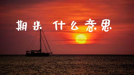 期米 什么意思_https://www.fcdydaikuan.com_黄金期货直播_第1张
