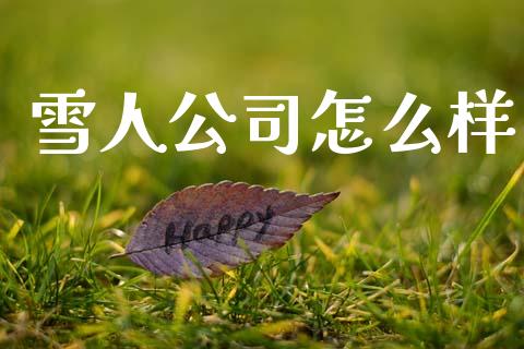 雪人公司怎么样_https://www.fcdydaikuan.com_德指期货直播_第1张