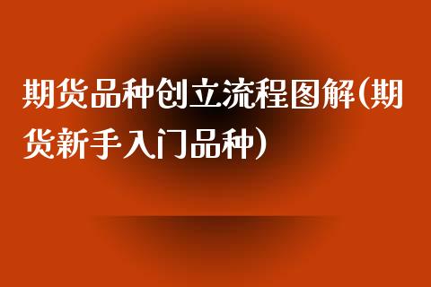 期货品种创立流程图解(期货新手入门品种)_https://www.fcdydaikuan.com_黄金期货直播_第1张