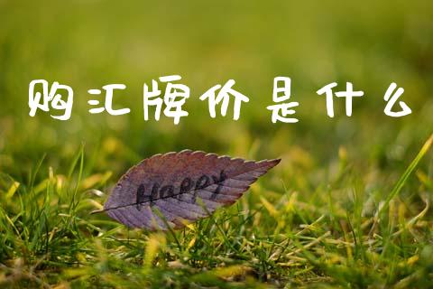 购汇牌价是什么_https://www.fcdydaikuan.com_恒生指数直播室_第1张