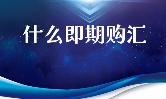 什么即期购汇_https://www.fcdydaikuan.com_黄金期货直播_第1张
