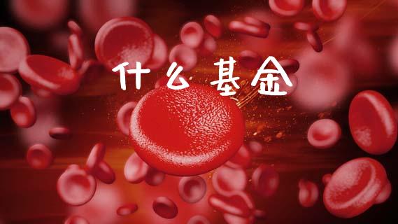 什么基金_https://www.fcdydaikuan.com_恒指期货直播_第1张