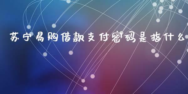 苏宁易购借款支付密码是指什么_https://www.fcdydaikuan.com_黄金期货直播_第1张