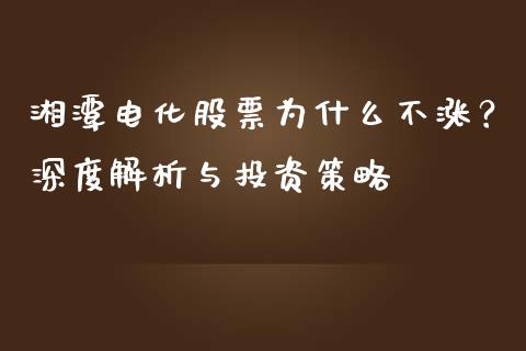 湘潭电化股票为什么不涨？深度解析与投资策略_https://www.fcdydaikuan.com_黄金期货直播_第1张