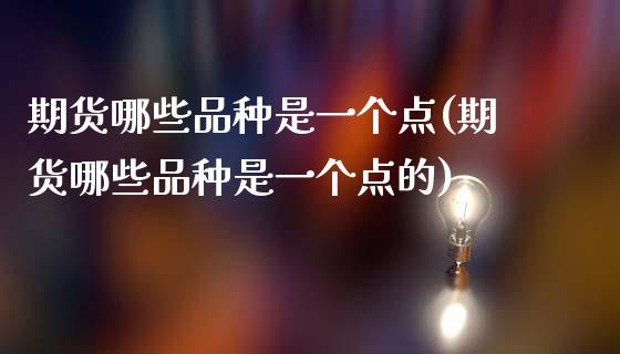 期货哪些品种是一个点(期货哪些品种是一个点的)_https://www.fcdydaikuan.com_恒指期货直播_第1张