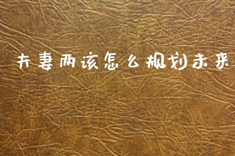 夫妻两该怎么规划未来_https://www.fcdydaikuan.com_黄金期货直播_第1张