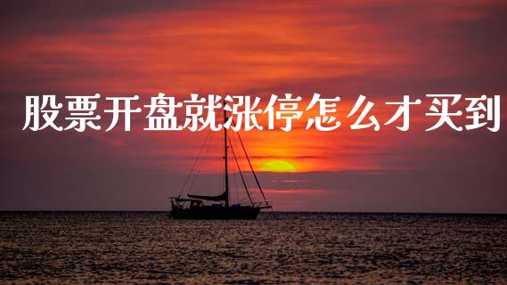 股票开盘就涨停怎么才买到_https://www.fcdydaikuan.com_恒指期货直播_第1张