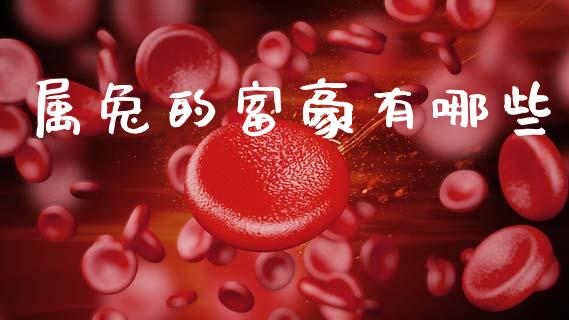 属兔的富豪有哪些_https://www.fcdydaikuan.com_恒指期货直播_第1张