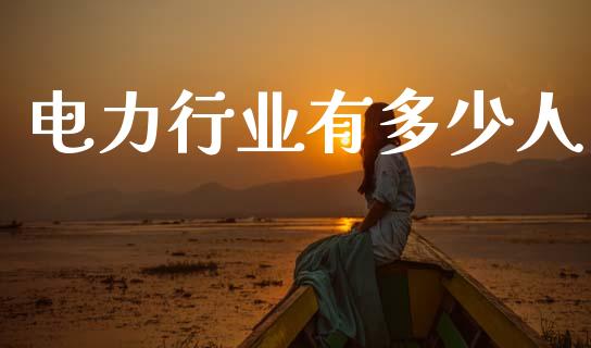 电力行业有多少人_https://www.fcdydaikuan.com_恒生指数直播室_第1张