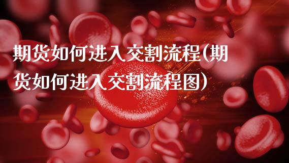 期货如何进入交割流程(期货如何进入交割流程图)_https://www.fcdydaikuan.com_黄金期货直播_第1张
