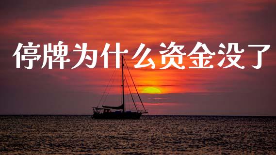 停牌为什么资金没了_https://www.fcdydaikuan.com_德指期货直播_第1张