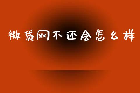 微贷网不还会怎么样_https://www.fcdydaikuan.com_黄金期货直播_第1张