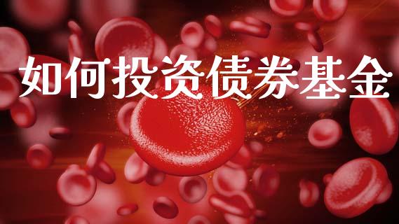 如何投资债券基金_https://www.fcdydaikuan.com_德指期货直播_第1张
