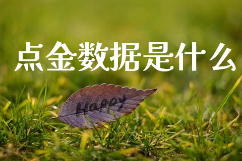 点金数据是什么_https://www.fcdydaikuan.com_恒指期货直播_第1张