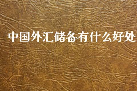 中国外汇储备有什么好处_https://www.fcdydaikuan.com_德指期货直播_第1张