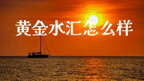 黄金水汇怎么样_https://www.fcdydaikuan.com_恒生指数直播室_第1张