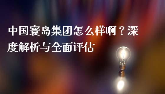 中国寰岛集团怎么样啊？深度解析与全面评估_https://www.fcdydaikuan.com_德指期货直播_第1张