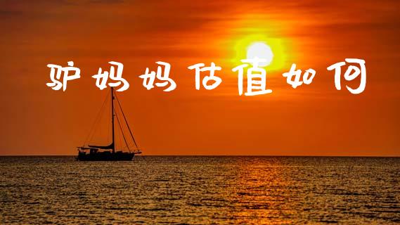 驴妈妈估值如何_https://www.fcdydaikuan.com_恒指期货直播_第1张
