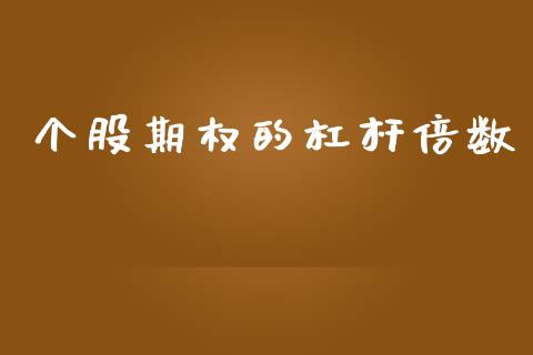 个股期权的杠杆倍数_https://www.fcdydaikuan.com_德指期货直播_第1张