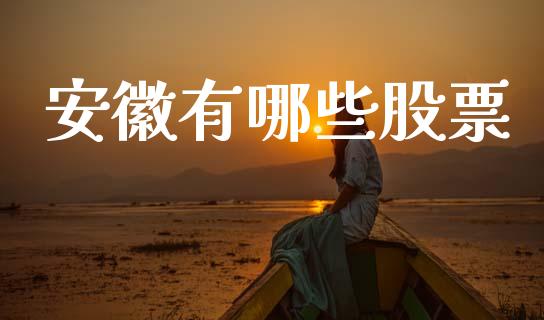 安徽有哪些股票_https://www.fcdydaikuan.com_德指期货直播_第1张