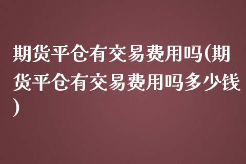期货平仓有交易费用吗(期货平仓有交易费用吗多少钱)_https://www.fcdydaikuan.com_黄金期货直播_第1张