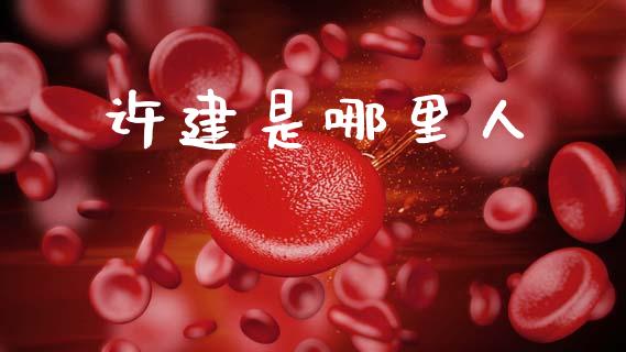 许建是哪里人_https://www.fcdydaikuan.com_恒生指数直播室_第1张