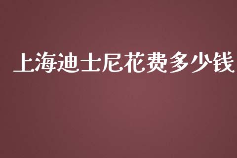 上海迪士尼花费多少钱_https://www.fcdydaikuan.com_恒指期货直播_第1张