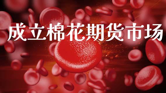 成立棉花期货市场_https://www.fcdydaikuan.com_恒生指数直播室_第1张