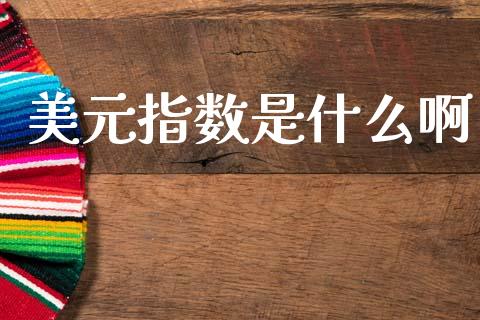 美元指数是什么啊_https://www.fcdydaikuan.com_恒生指数直播室_第1张