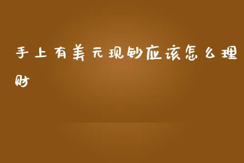 手上有美元现钞应该怎么理财_https://www.fcdydaikuan.com_恒指期货直播_第1张