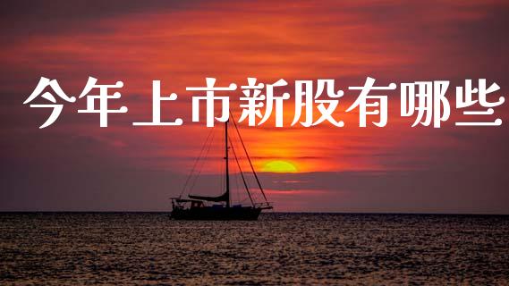 今年上市新股有哪些_https://www.fcdydaikuan.com_黄金期货直播_第1张