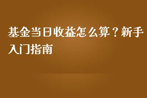 基金当日收益怎么算？新手入门指南_https://www.fcdydaikuan.com_恒生指数直播室_第1张